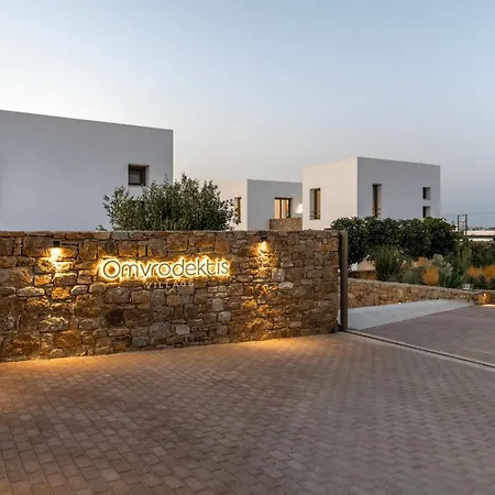 Ξενοδοχείο Omvrodektis Village