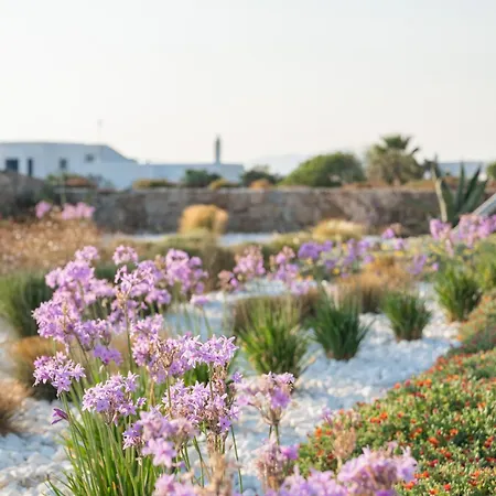 Omvrodektis Village * Mykonos Town